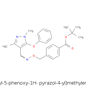 1,1-dimethylethyl_4-.smi.png