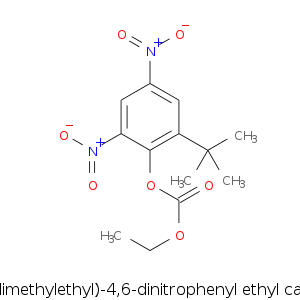 2-(1,1-dimethylethyl.smi.png
