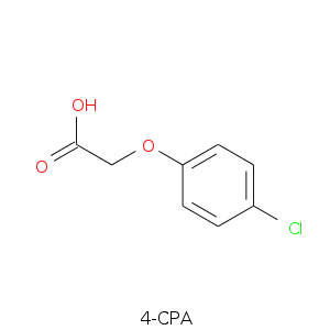 4-CPA.smi.png