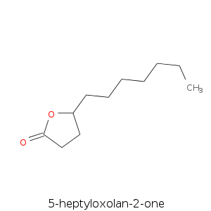 5-heptyloxolan-2-one.smi.png