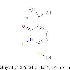 6-(1,1-dimethylethyl.smi.png