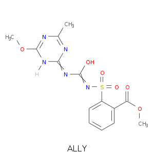ALLY.smi.png