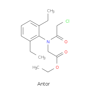 Antor.smi.png