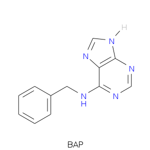 BAP.smi.png