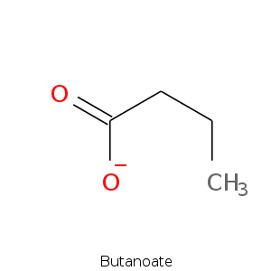 Butanoate.smi.png