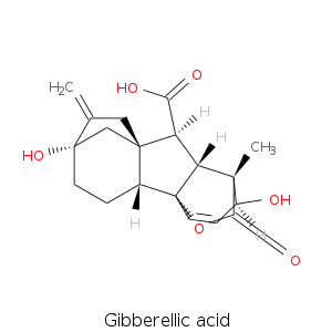 Gibberellic_acid.smi.png