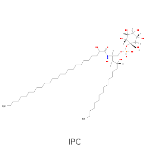 IPC.smi.png