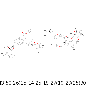 InChI_1S_C42H67NO10..smi.png