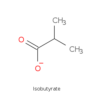 Isobutyrate.smi.png
