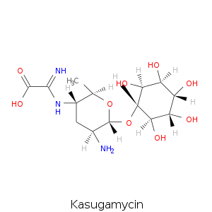 Kasugamycin.smi.png