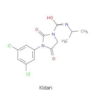 Kidan.smi.png