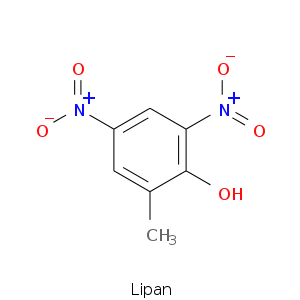 Lipan.smi.png