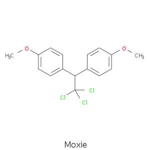 Moxie.smi.png