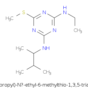 N-(1,2-di-methylprop.smi.png