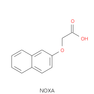 NOXA.smi.png