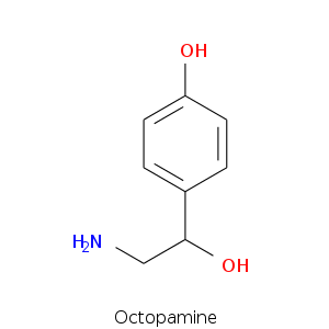 Octopamine.smi.png