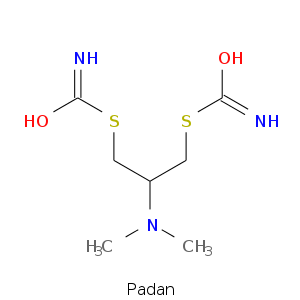 Padan.smi.png