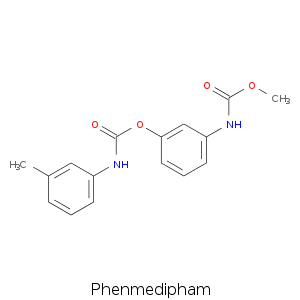 Phenmedipham.smi.png