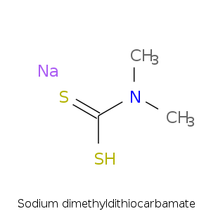 Sodium_dimethyldithi.smi.png