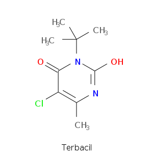 Terbacil.smi.png