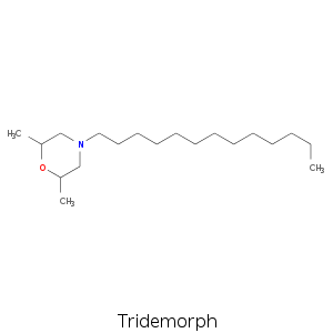 Tridemorph.smi.png