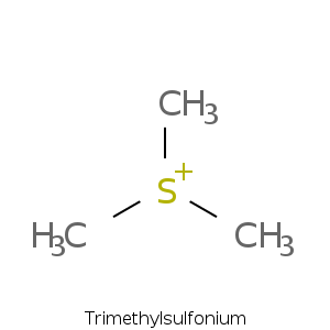 Trimethylsulfonium.smi.png