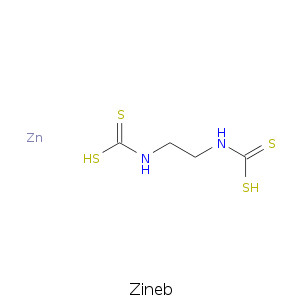 Zineb.smi.png