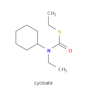 cycloate.smi.png