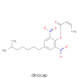 dinocap.smi.png