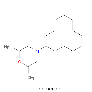dodemorph.smi.png