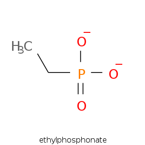 ethylphosphonate.smi.png