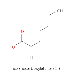hexanecarboxylate_io.smi.png