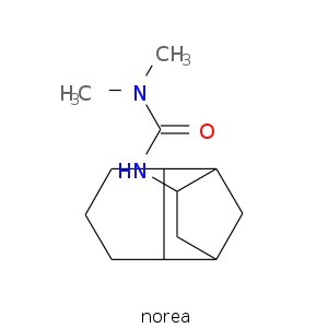 norea.smi.png