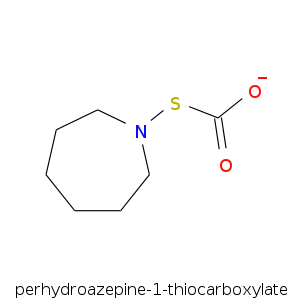 perhydroazepine-1-th.smi.png