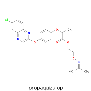 propaquizafop.smi.png