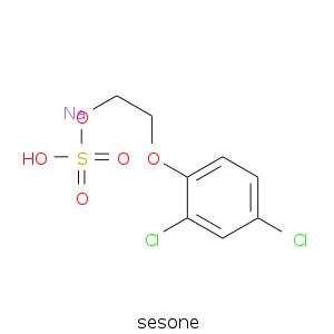 sesone.smi.png