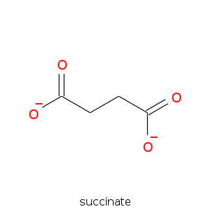 succinate.smi.png