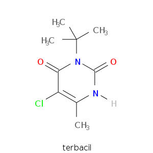 terbacil.smi.png