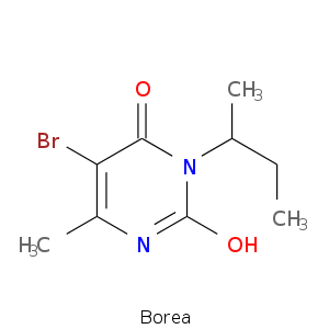 Borea.smi.png