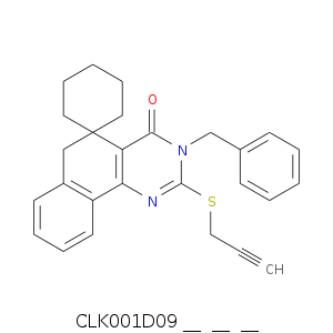 CLK001D09___________.smi.png
