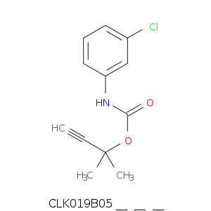CLK019B05___________.smi.png