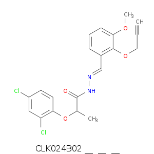 CLK024B02___________.smi.png