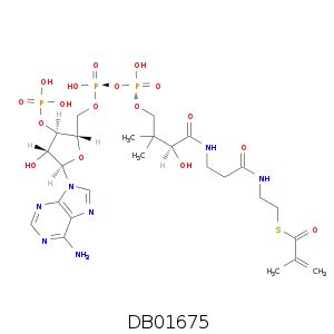 DB01675.smi.png
