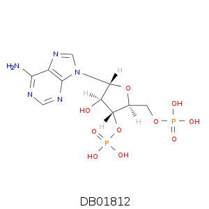 DB01812.smi.png