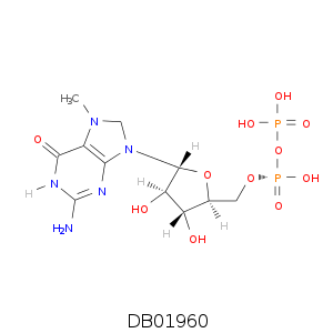 DB01960.smi.png