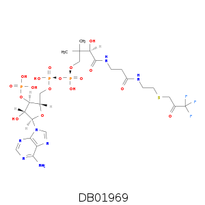 DB01969.smi.png