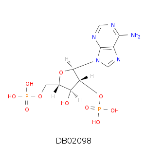 DB02098.smi.png