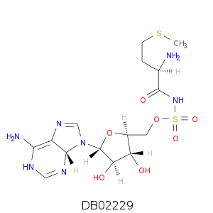 DB02229.smi.png
