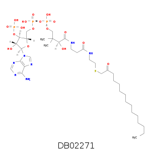 DB02271.smi.png