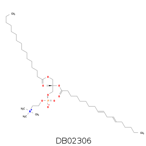 DB02306.smi.png